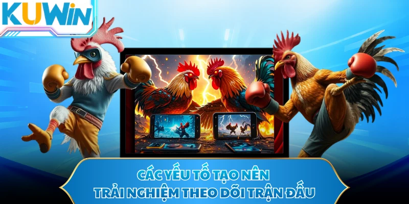 Các yếu tố tạo nên trải nghiệm theo dõi trận đấu