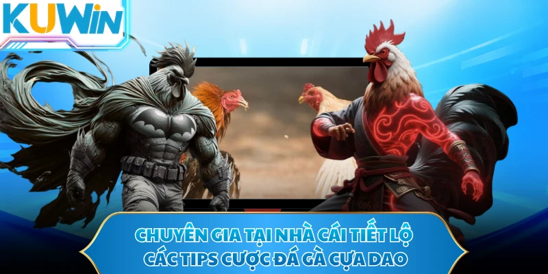 Chuyên gia tại nhà cái tiết lộ các tips cược đá gà cựa dao