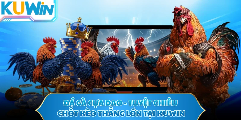 Đá Gà Cựa Dao - Tuyệt Chiêu Chốt Kèo Thắng Lớn Tại KUWIN