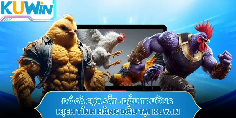 Đá Gà Cựa Sắt - Đấu Trường Kịch Tính Hàng Đầu Tại KUWIN