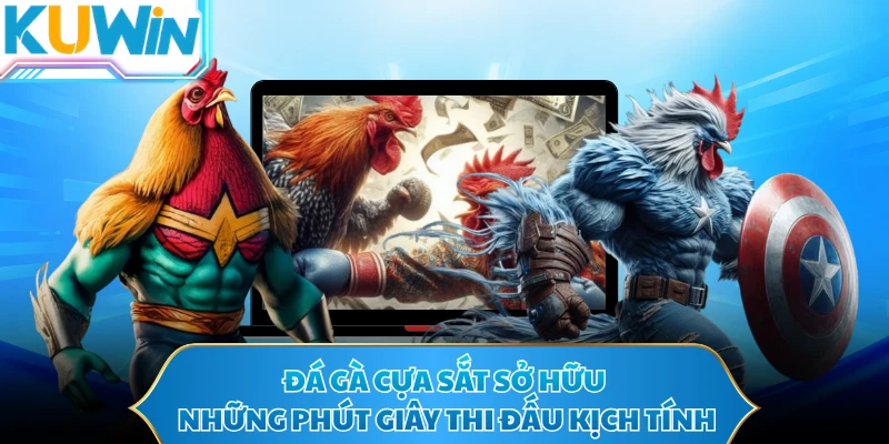Đá gà cựa sắt sở hữu những phút giây thi đấu kịch tính