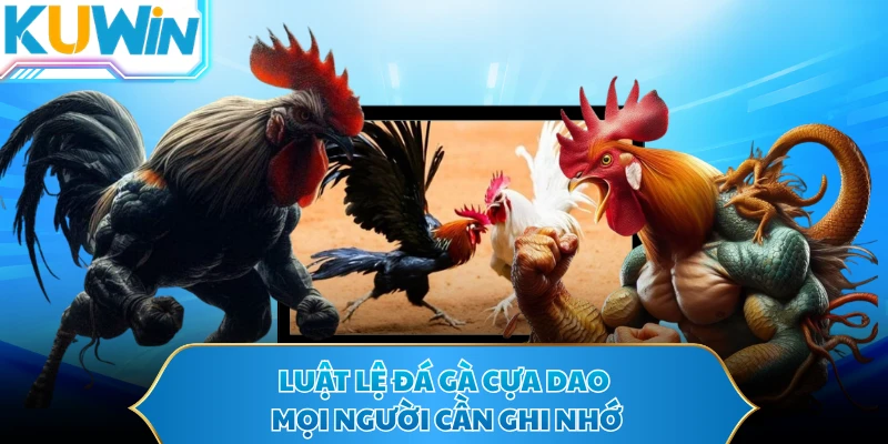 Luật lệ đá gà cựa dao mọi người cần ghi nhớ