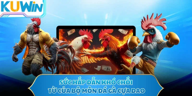 Sức hấp dẫn khó chối từ của bộ môn đá gà cựa dao
